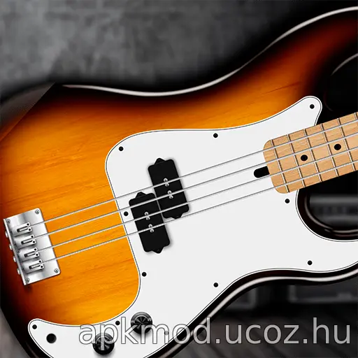 Real Bass electric bass guitar